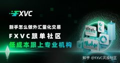 新手怎么做外汇量化交易?FXVC低成本跟上专业机构交易节奏