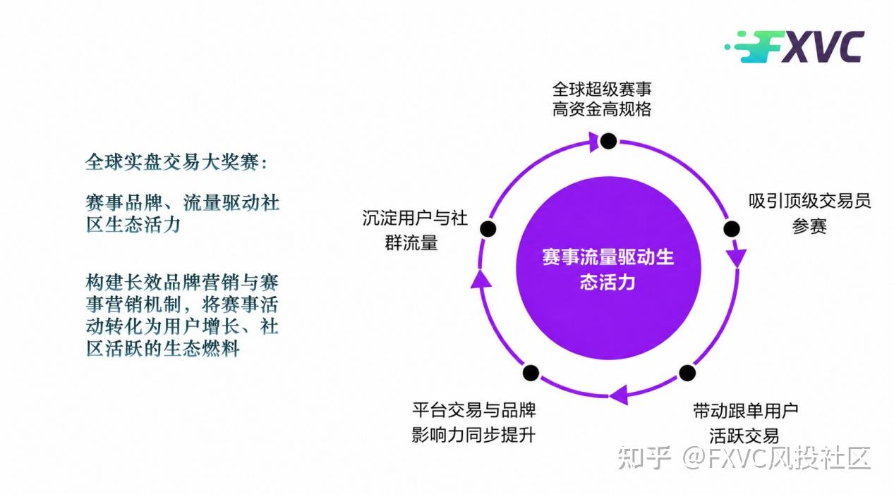 优质信号源从哪来?揭秘FXVC背后的多渠道筛选机制