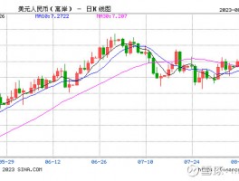 Macro Markets Insight Field: Slow -release RMB short -term depreciation pressure